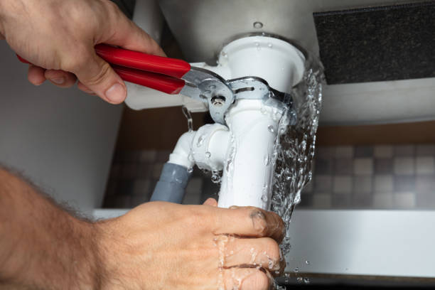 Best Water damage restoration near me  in Baudette, MN