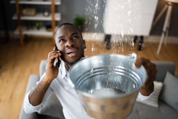 Best Water damage contractors near me  in Baudette, MN