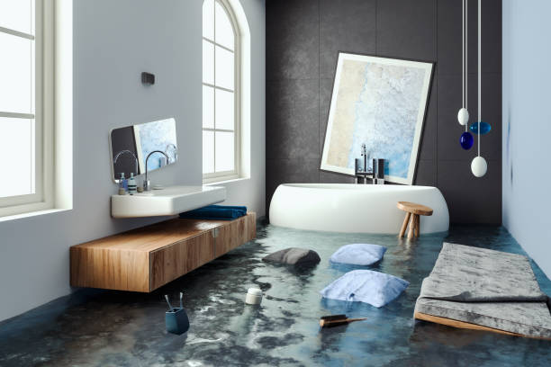 Best Local water damage restoration  in Baudette, MN