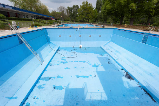 Best Mold removal after water damage  in Baudette, MN