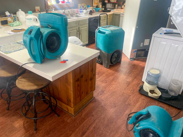 Reliable Baudette, MN Water damage restoration Solutions