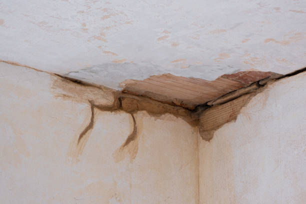 Best Flood damage cleanup  in Baudette, MN