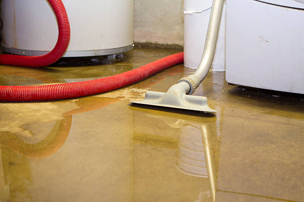 Best Flood restoration services  in Baudette, MN
