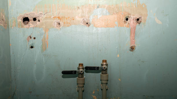 Best Emergency water extraction  in Baudette, MN