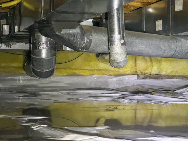 Best Flood restoration services  in Baudette, MN