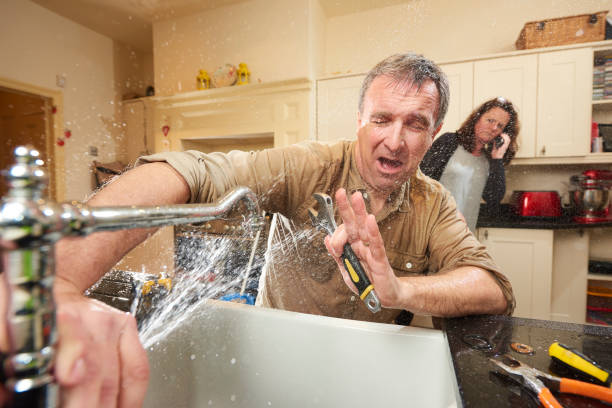 Best Ceiling water damage repair  in Baudette, MN